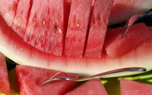 夏日清凉西瓜图片壁纸_14