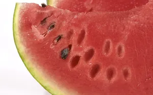 夏日清凉西瓜图片壁纸_17