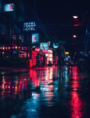 湿漉漉城市街道夜景图片_1