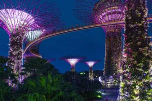 新加坡夜景图片_1