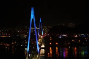 夜间城市吊桥图片_1