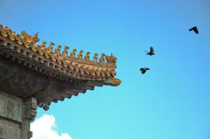故宫屋檐图片第1张