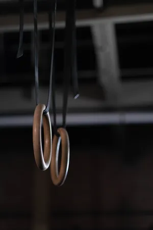 体操环特写图片第1张