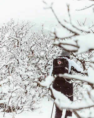 冬季雪地徒步旅行图片第1张