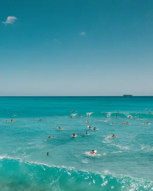 海滩上冲浪人群图片第1张