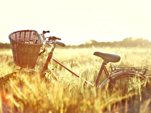 老式单车高清图片第张