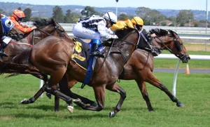 正在进行的赛马比赛图片第张