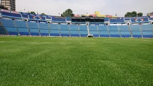 绿色的足球场地图片第张