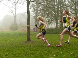 户外跑步运动的人图片第张