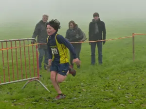 草地上的赛跑比赛图片第张