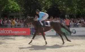 马场里正在进行的赛马比赛图片第张