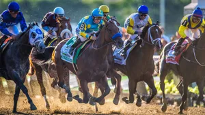 赛马比赛图片第张