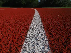 体育运动场图片第张