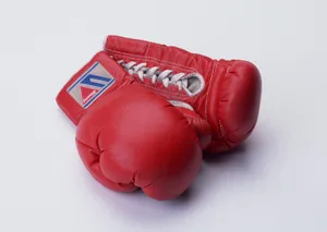 拳击用品图片第张