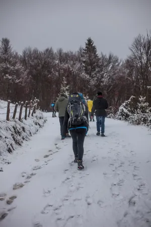 登雪山背影图片第1张