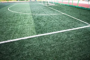 绿茵场局部图片第1张