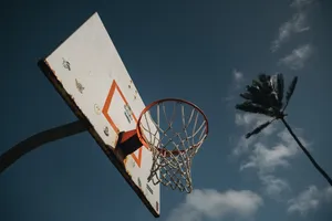 普通篮球架图片第1张