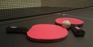 乒乓球球拍图片第1张