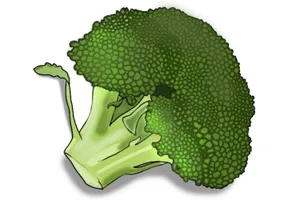 绿色西兰花卡通图片第1张