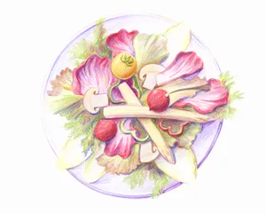 卡通美食图片第张