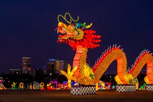 绚丽多彩的龙形花灯图片