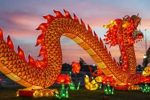 春节舞龙灯图片_1