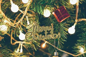 圣诞节布置的圣诞树图片第张