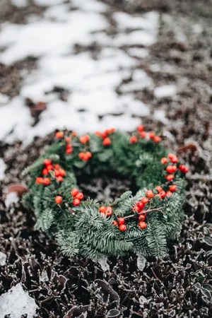 好看的圣诞花环图片第张