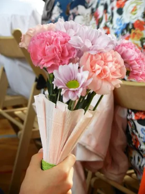 3.8妇女节康乃馨花束图片