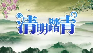 清明踏青宣传图片