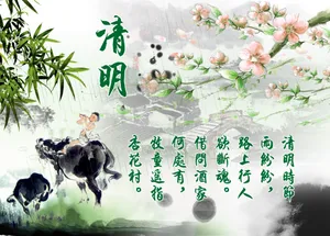清明节的习俗图片