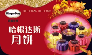 哈根达斯月饼图片_1