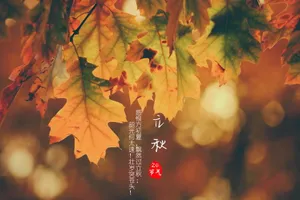 24节气立秋图片