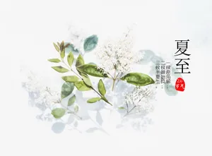 24节气夏至图片