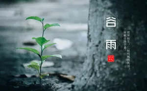 谷雨物候图片_1