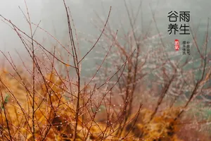谷雨节气养生图片_1