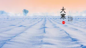 大寒时节图片