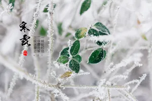冬至节气图片