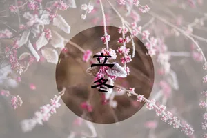 今日立冬图片_1