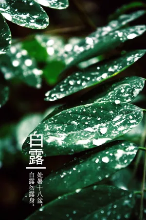 二十四节气白露图片_1