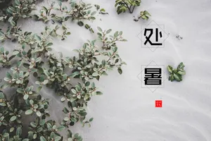 夏季处暑节气图片_1