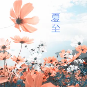 二十四节气夏至图片_1