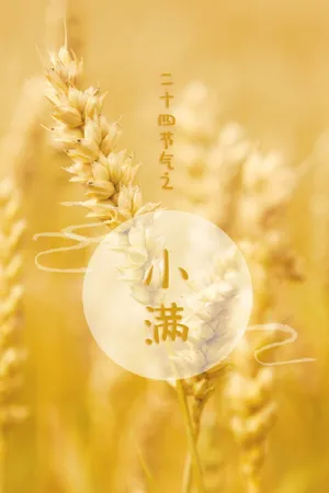 超高清手机壁纸小满图片_1
