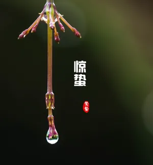 廿四节气惊蛰图片_1
