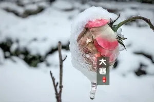 今日大寒图片