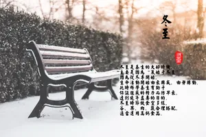 24节气冬至养生图片