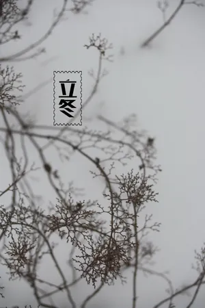 24节气立冬图片