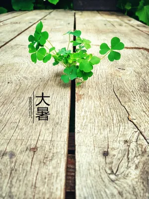 农历大暑节气图片_1