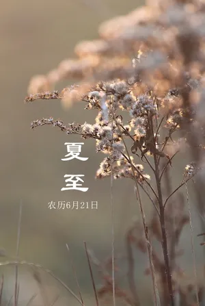 夏至几月几日图片_1