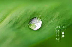 农历夏至节气图片